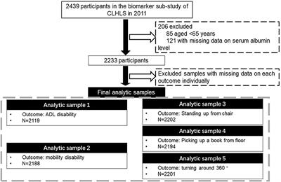 Associations of Serum Albumin With Disability in Activities of Daily Living, Mobility and Objective Physical Functioning Regardless of Vitamin D: Cross-Sectional Findings From the Chinese Longitudinal Healthy Longevity Survey